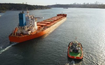 Bulk Carriers
